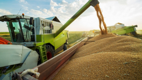 Экспортную пошлину на пшеницу из РФ снизили до 4951,7 рубля